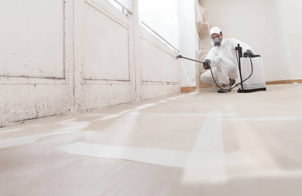 24/7 Emergency Basement Mold Removal experts in Riverton, NJ
