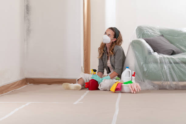 Reliable Basement Mold Removal contractor in Riverton, NJ by WQB Mold Removal